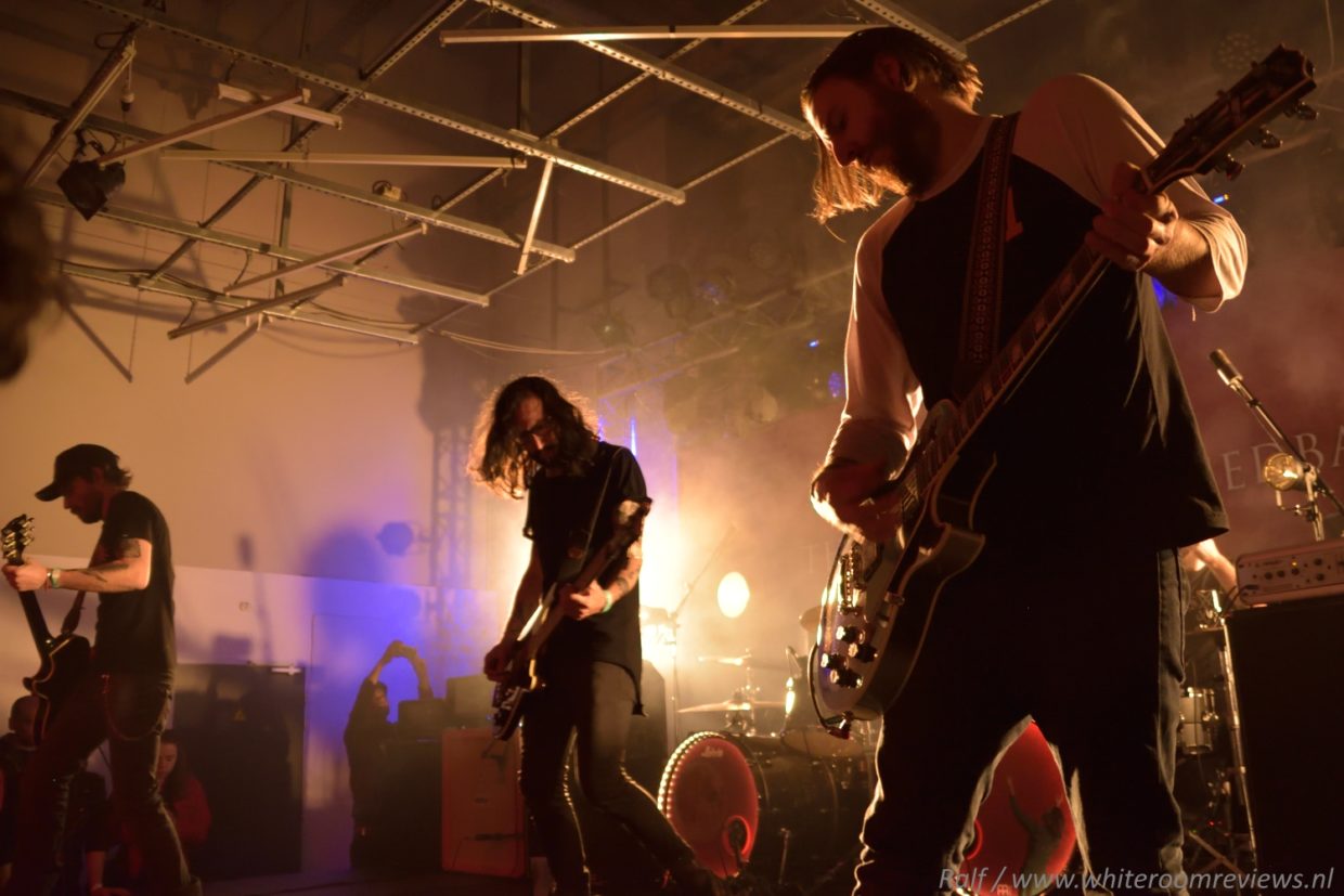 The Lumberjack Feedback - Lille