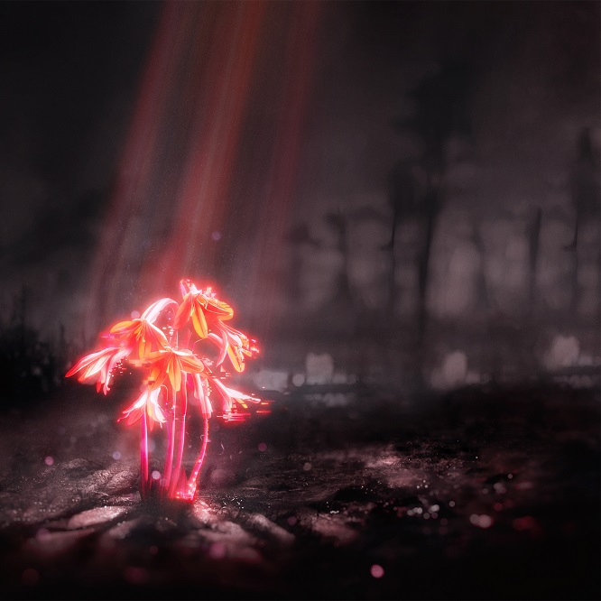 Enter Shikari - A Kiss For The Whole World