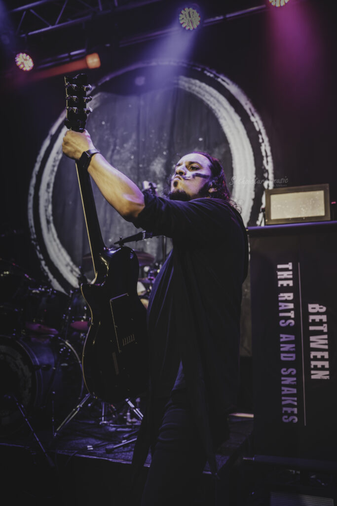 Between The Rats And Snakes Live