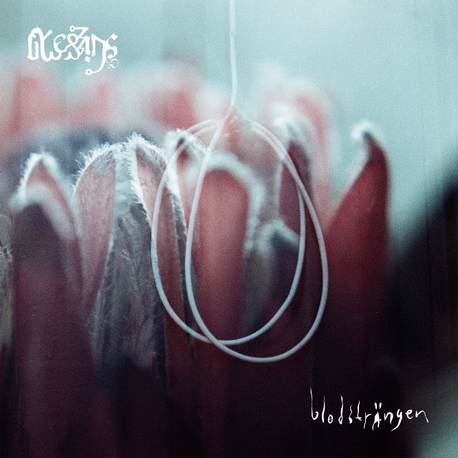 Blessings - Blodsträngen